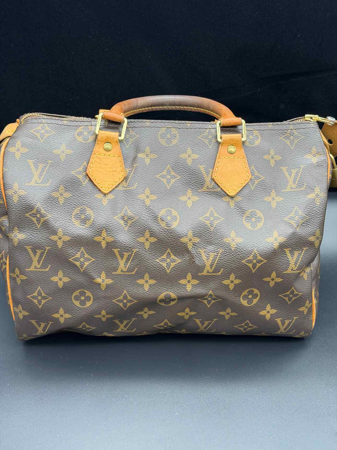 Louis Vuitton Monogram Handbag
