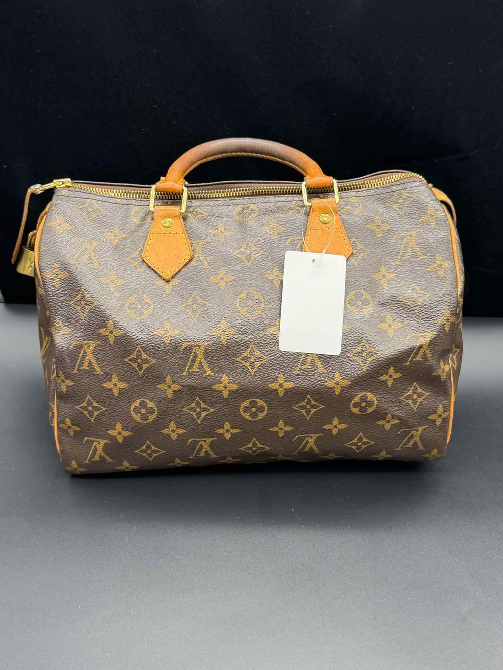 Louis Vuitton Monogram Handbag