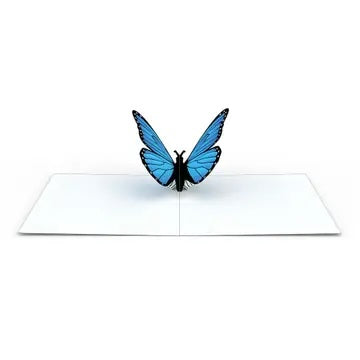 lovepop Note Paper