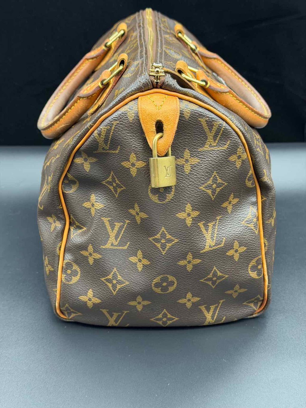 Louis Vuitton Monogram Handbag