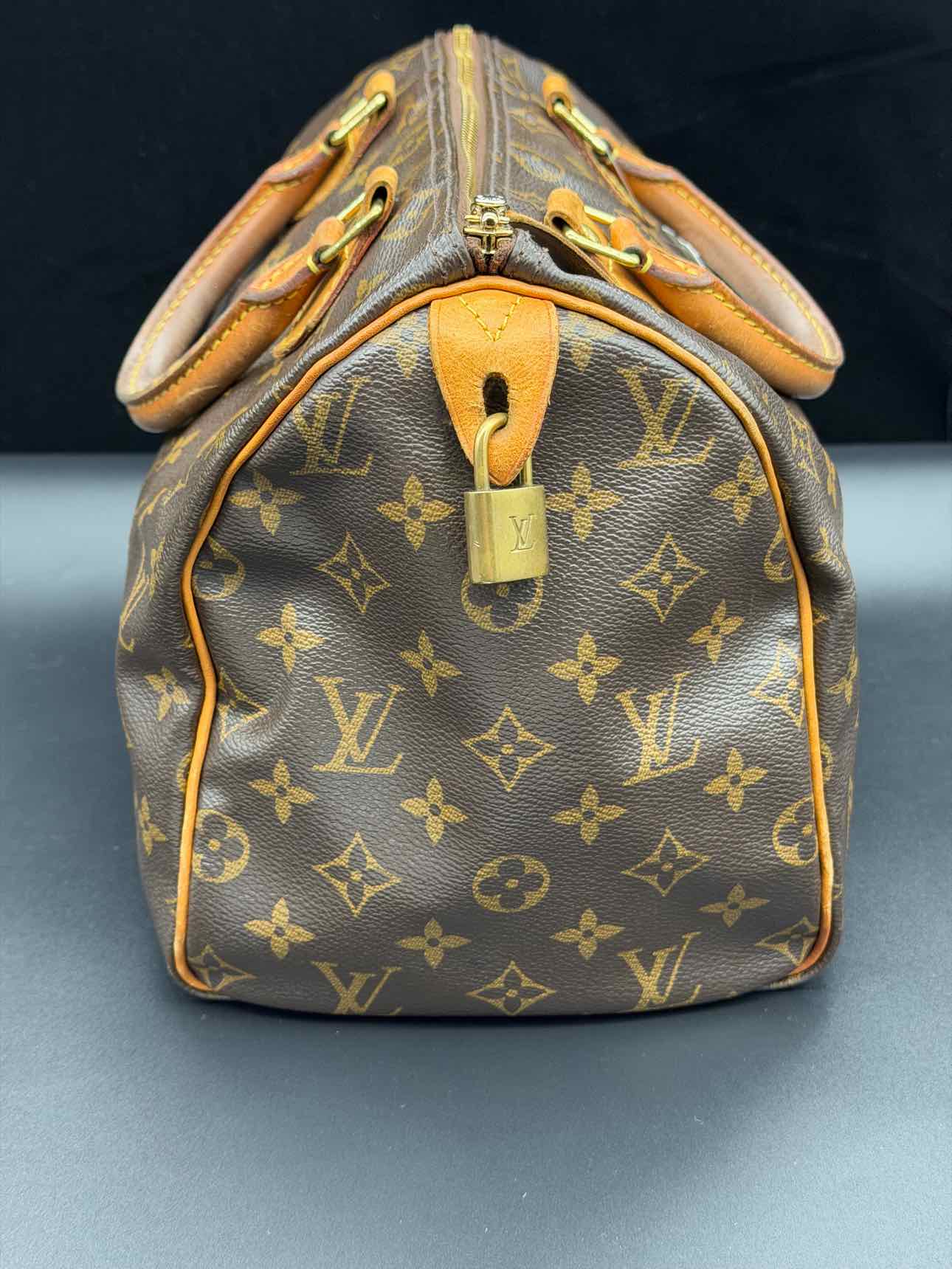 Louis Vuitton Monogram Handbag