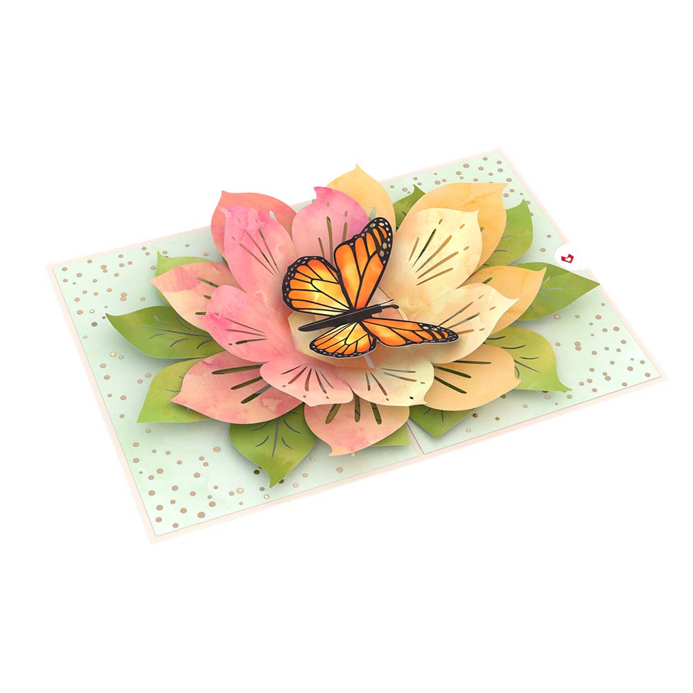 lovepop Card