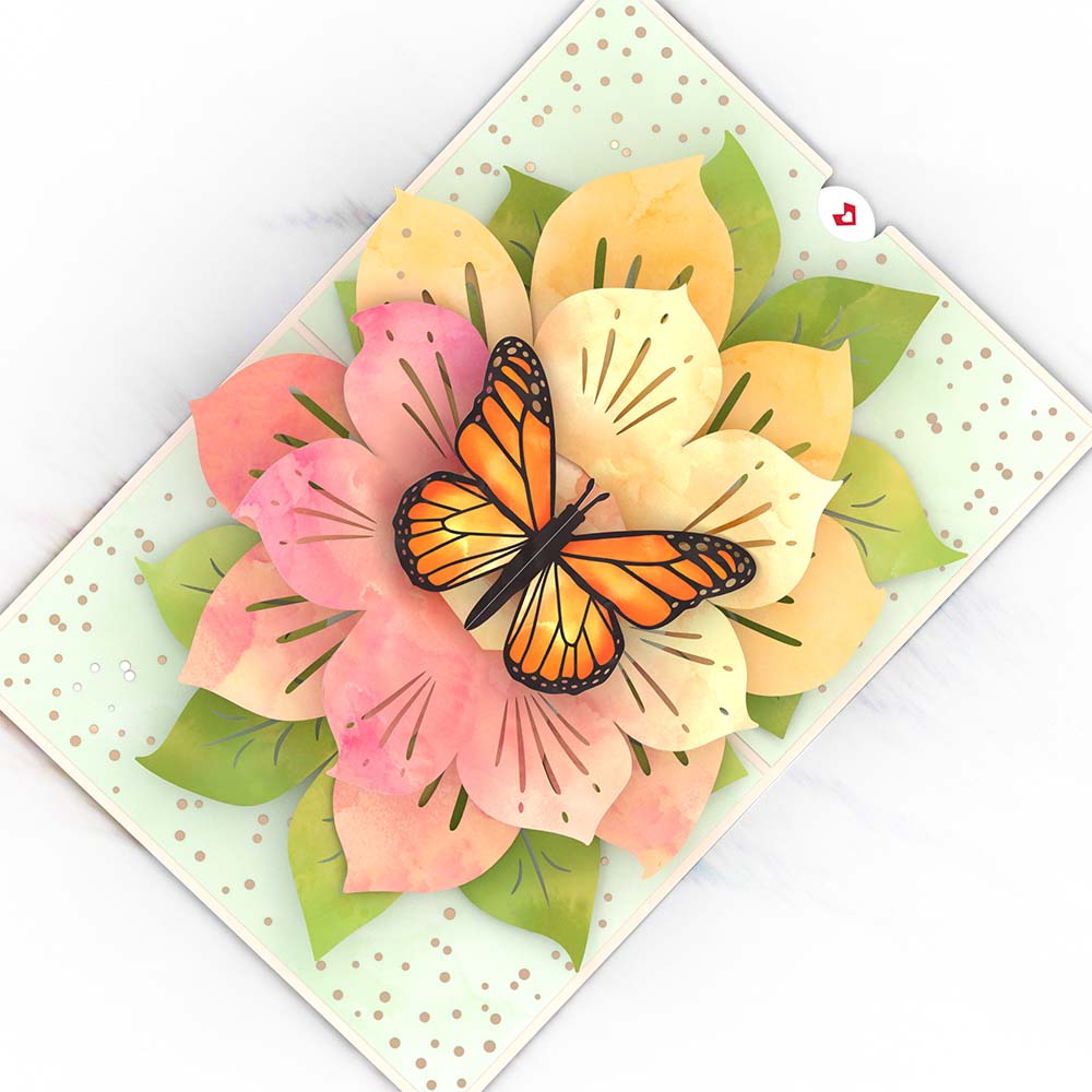 lovepop Card