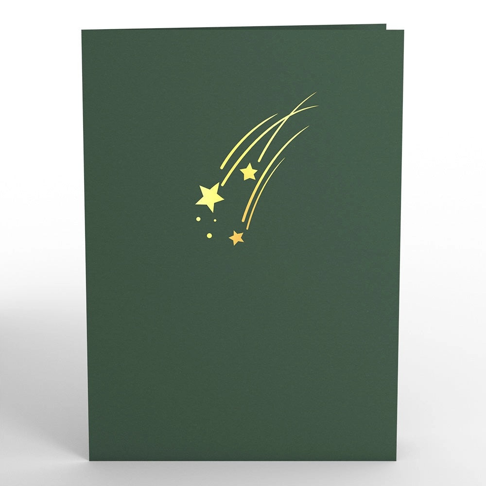 lovepop Card